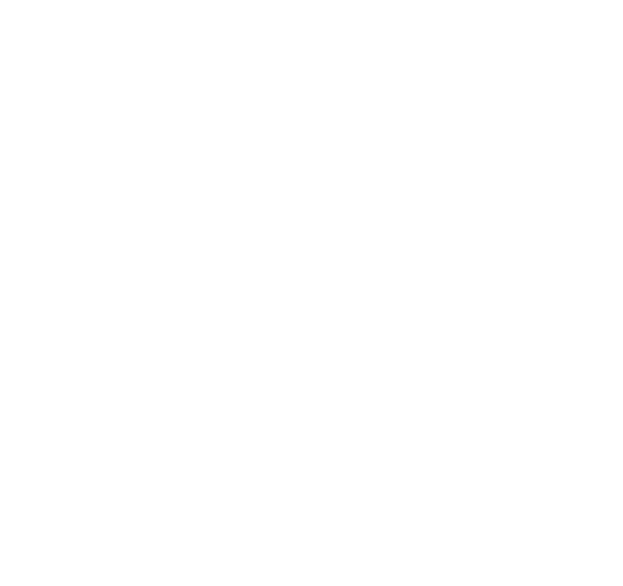 2025 Summit Logo